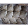 Frozen White Pomfret Fish